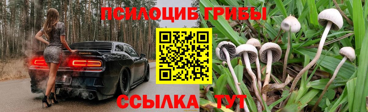 закладка  Вход с VPN  Саранск  Псилоцибиновые грибы прущие грибы 
